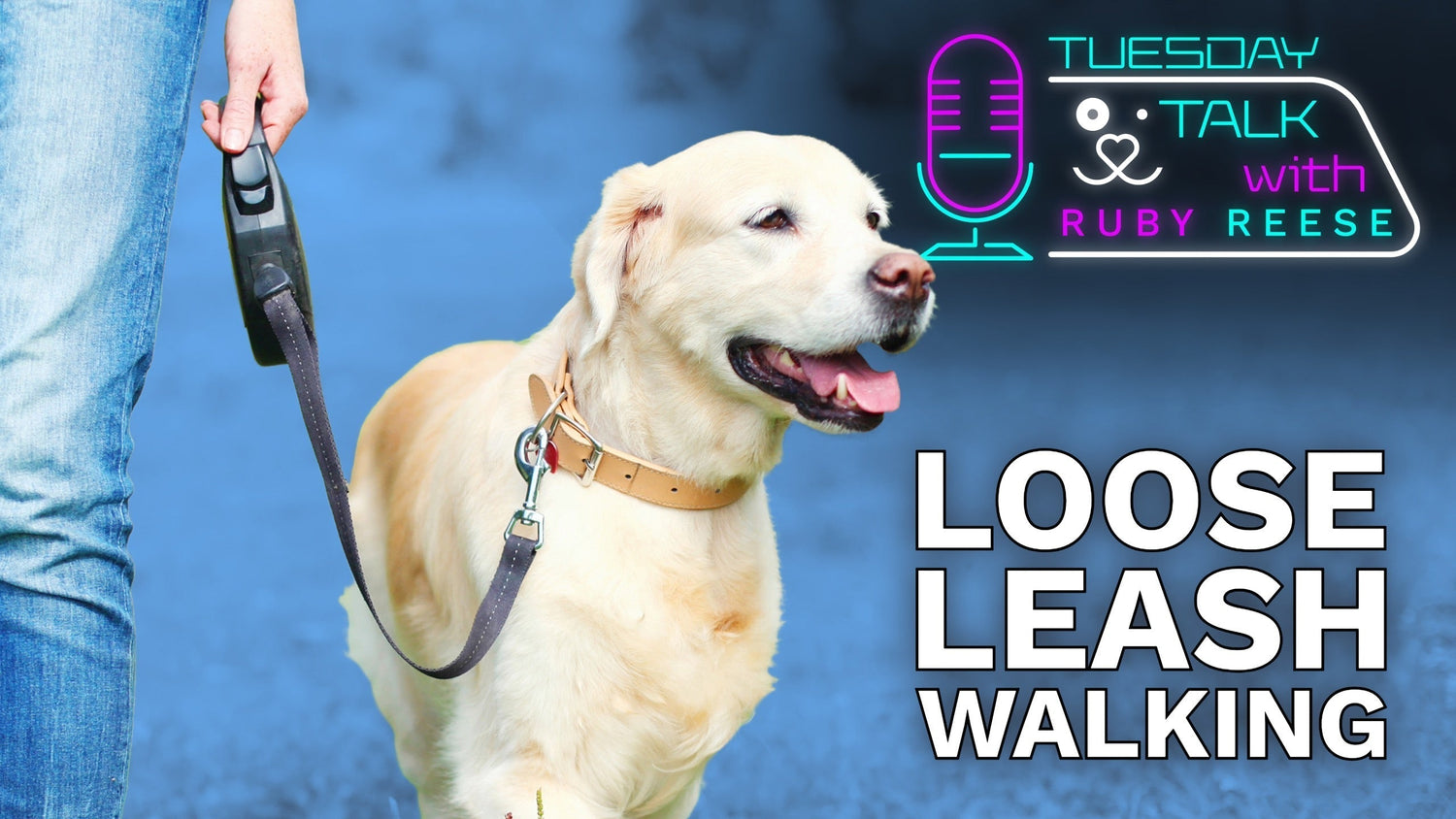 Loose Leash Dog Walking