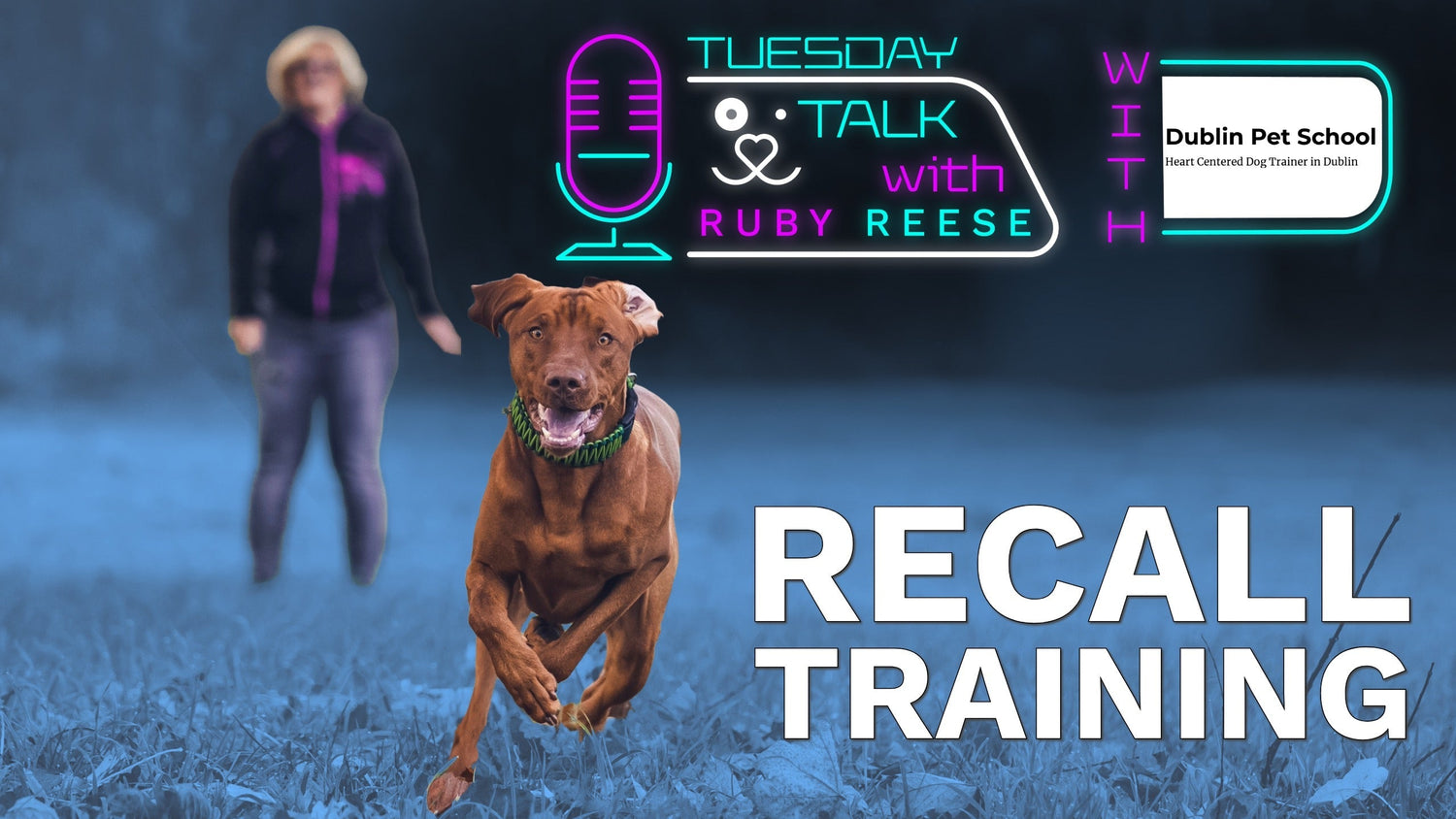 Recall Training for Dogs