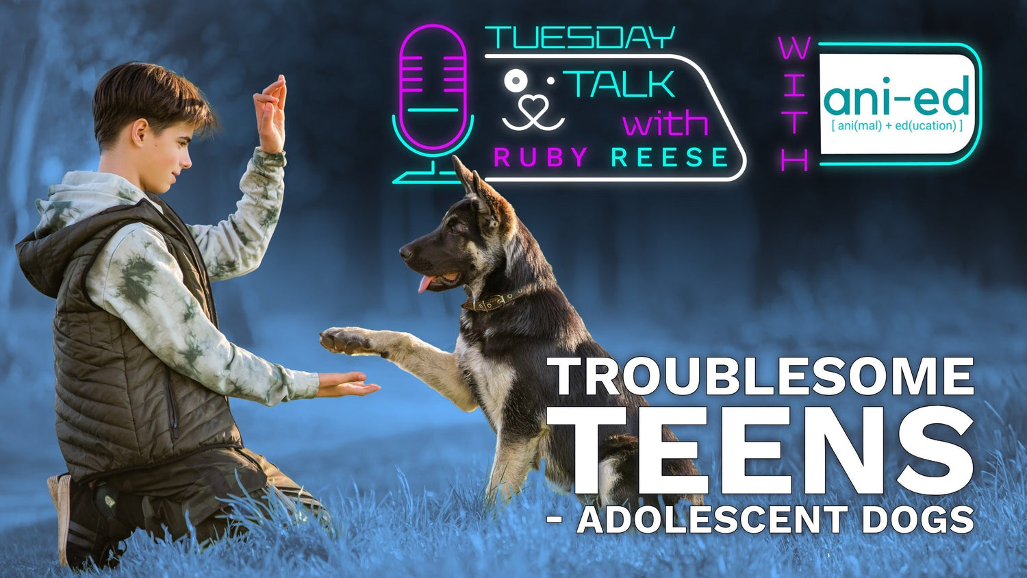 Troublesome Teens - Adolescent Dogs