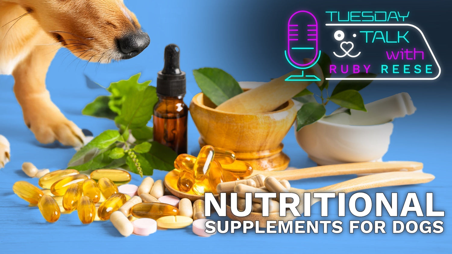 Nutritional Supplements for Dogs