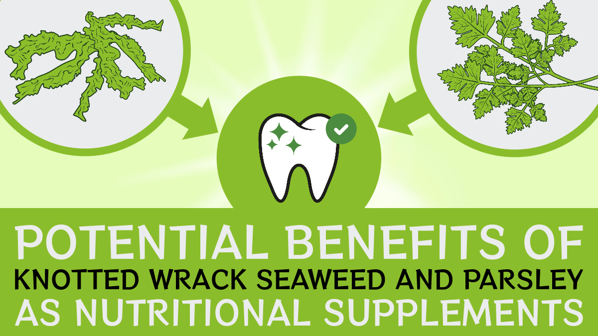 A tooth icon surrounded by seaweed and parsley and a text “Benefits of Seaweed and Parsley as Nutritional Supplements”