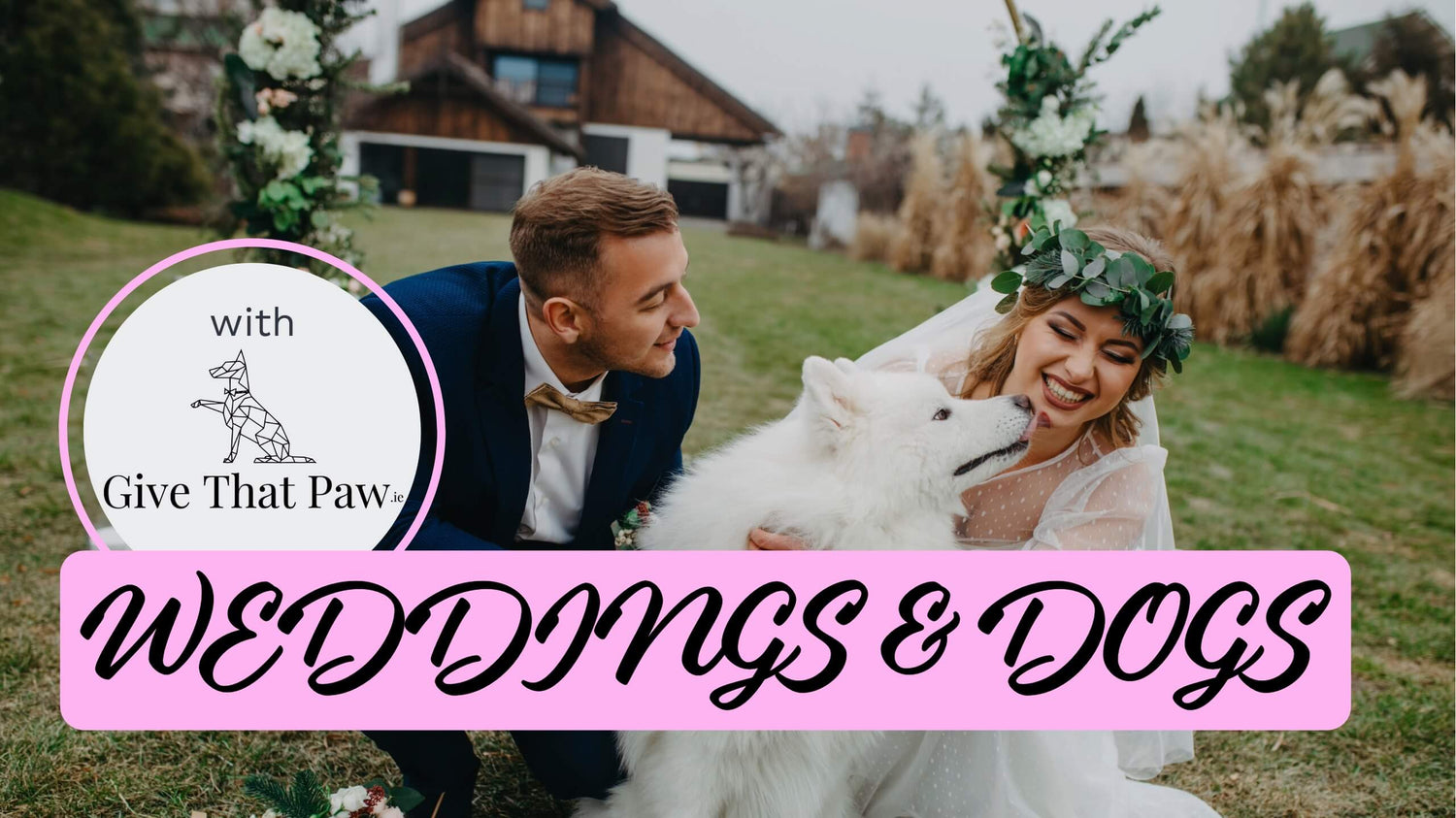 A white dogs between a kneeling bride and groom on their wedding day and a box with text “Weddings & Dogs”