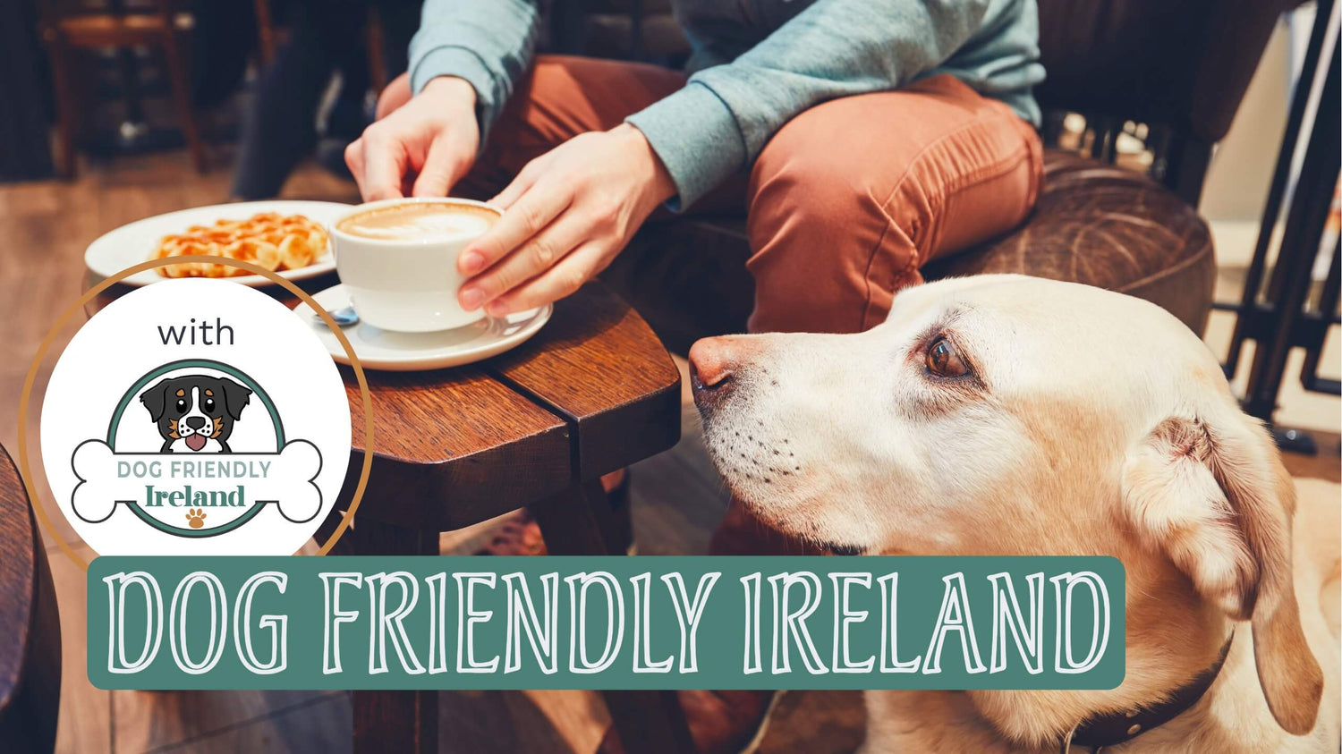 A table with a cake and coffee and a dog sitting next to the table starring at it and a box with text “Dog Friendly Ireland”