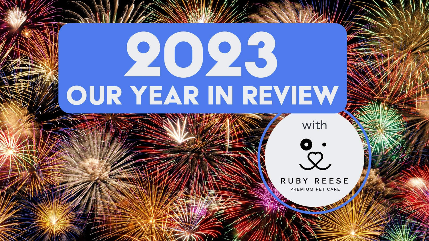 A Background of fireworks and a box with text “2023 - Our Year in review”