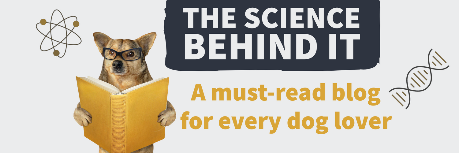 Image of dog holding a book. Text THE SCIENCE BEHIND IT in a box above and text A MUST-READ BLOG FOR EVERY DOG LOVER below it