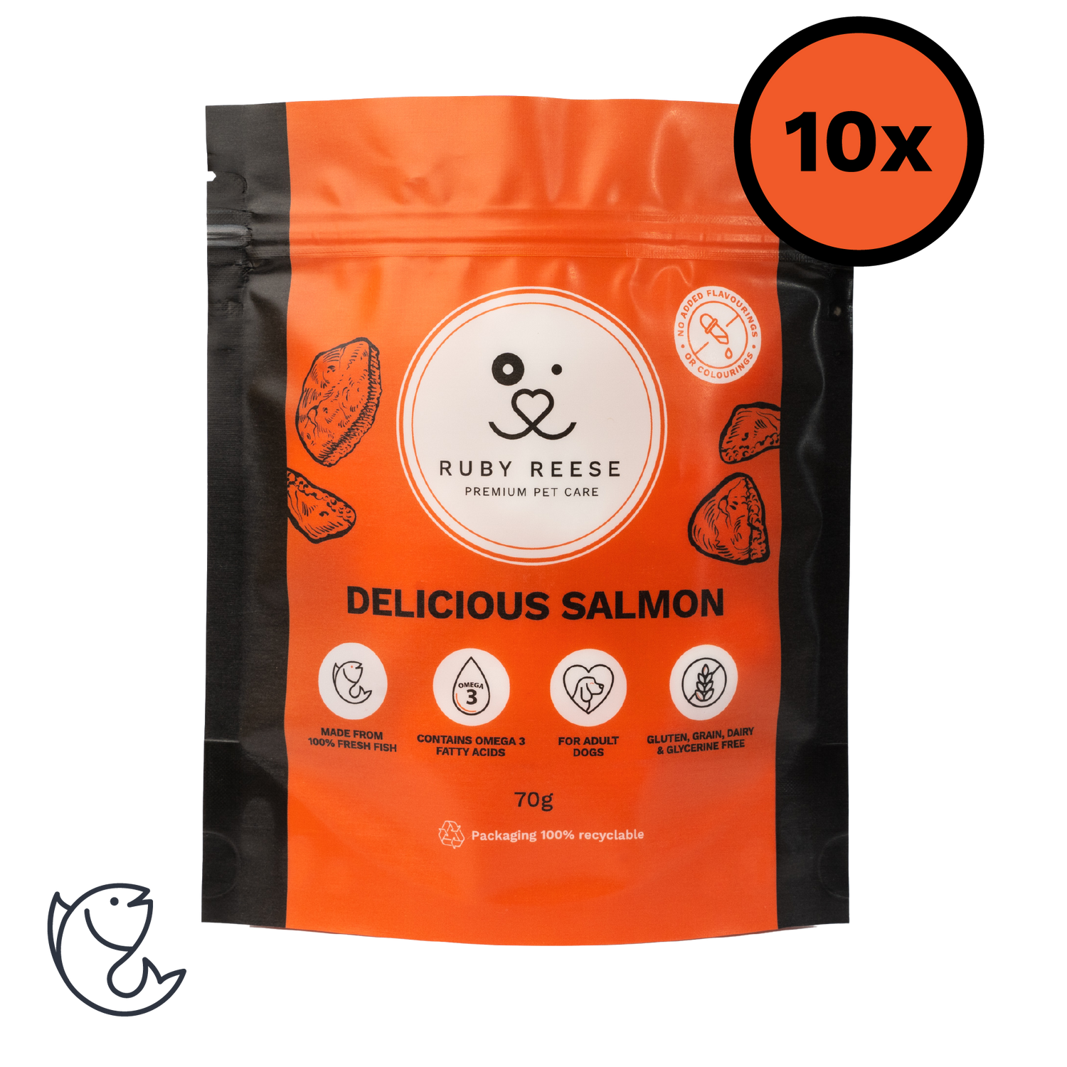 Delicious Salmon - 10x Pack