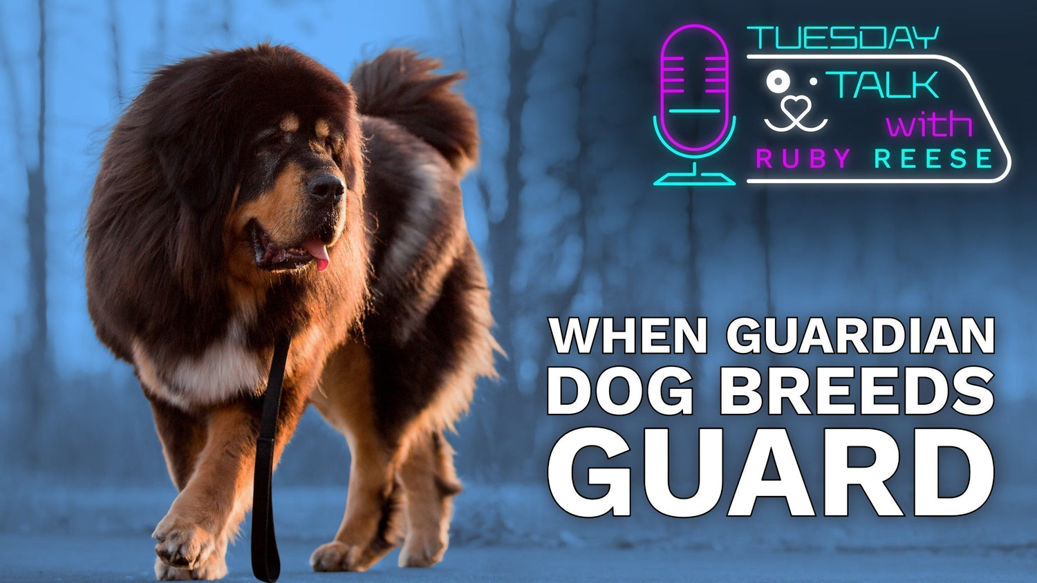 When Guardian Dog Breeds Guard