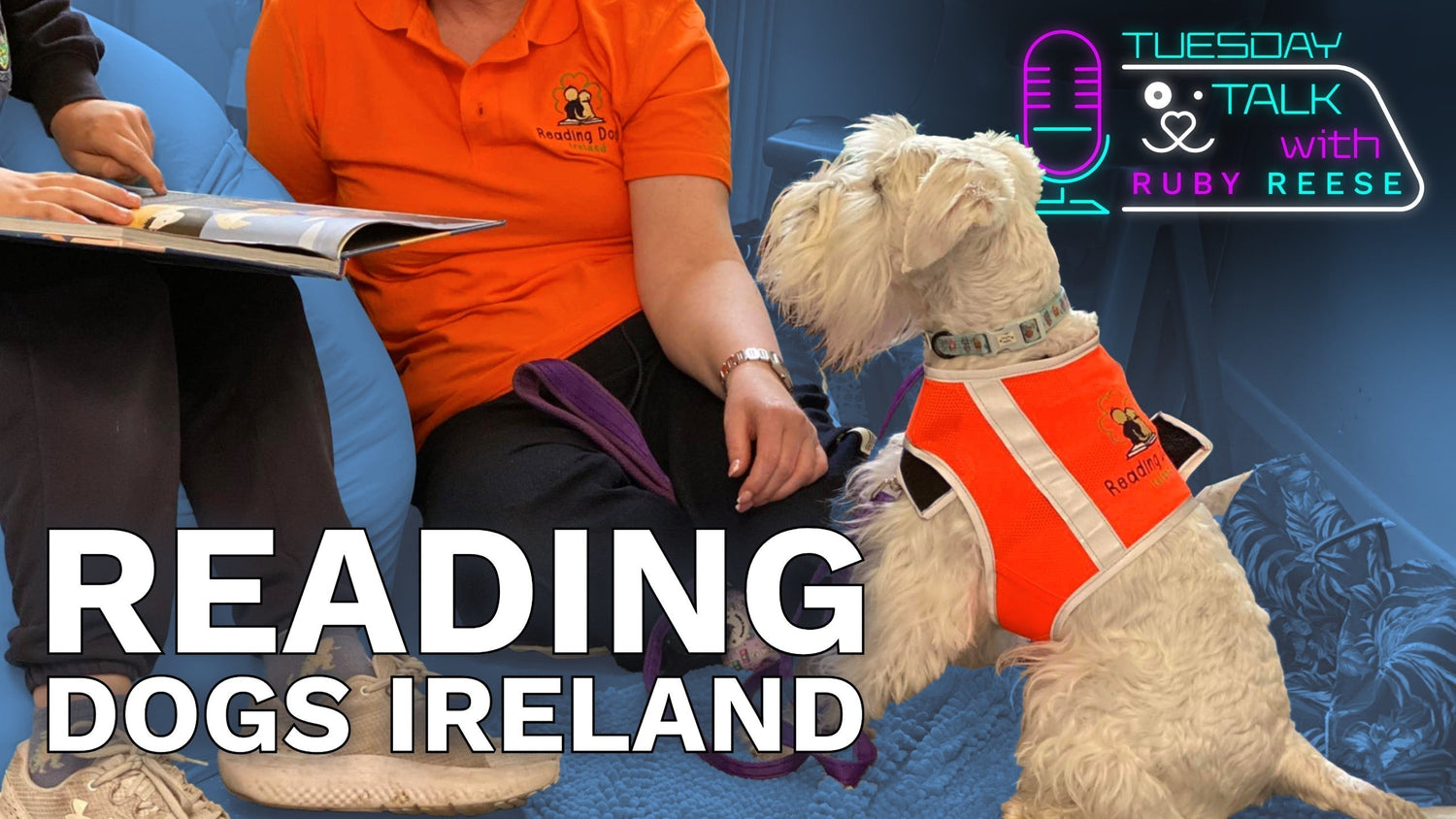 Reading Dogs Ireland