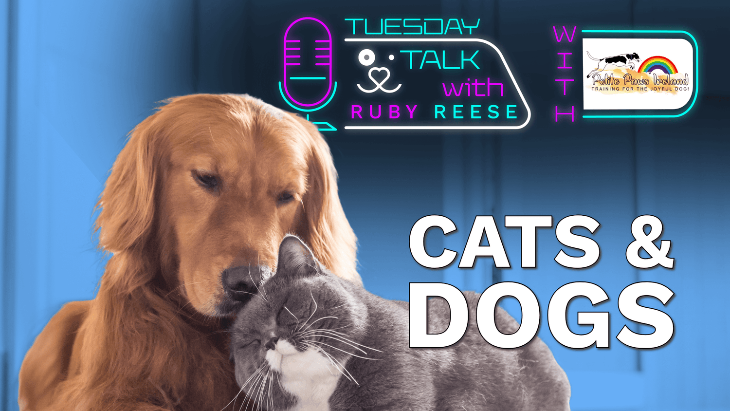 Cats and Dogs