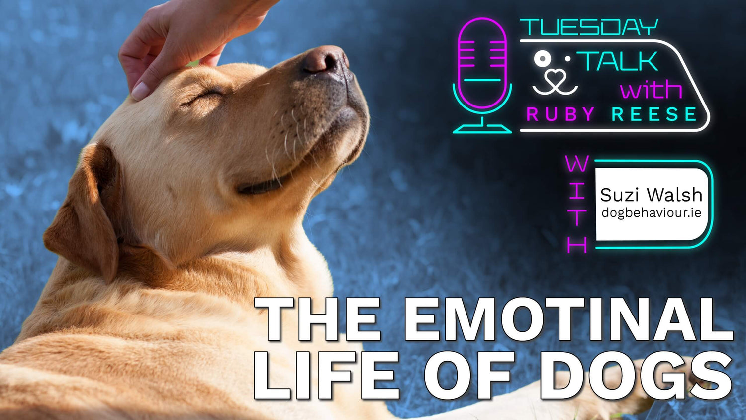 The Emotional Lives of Dogs