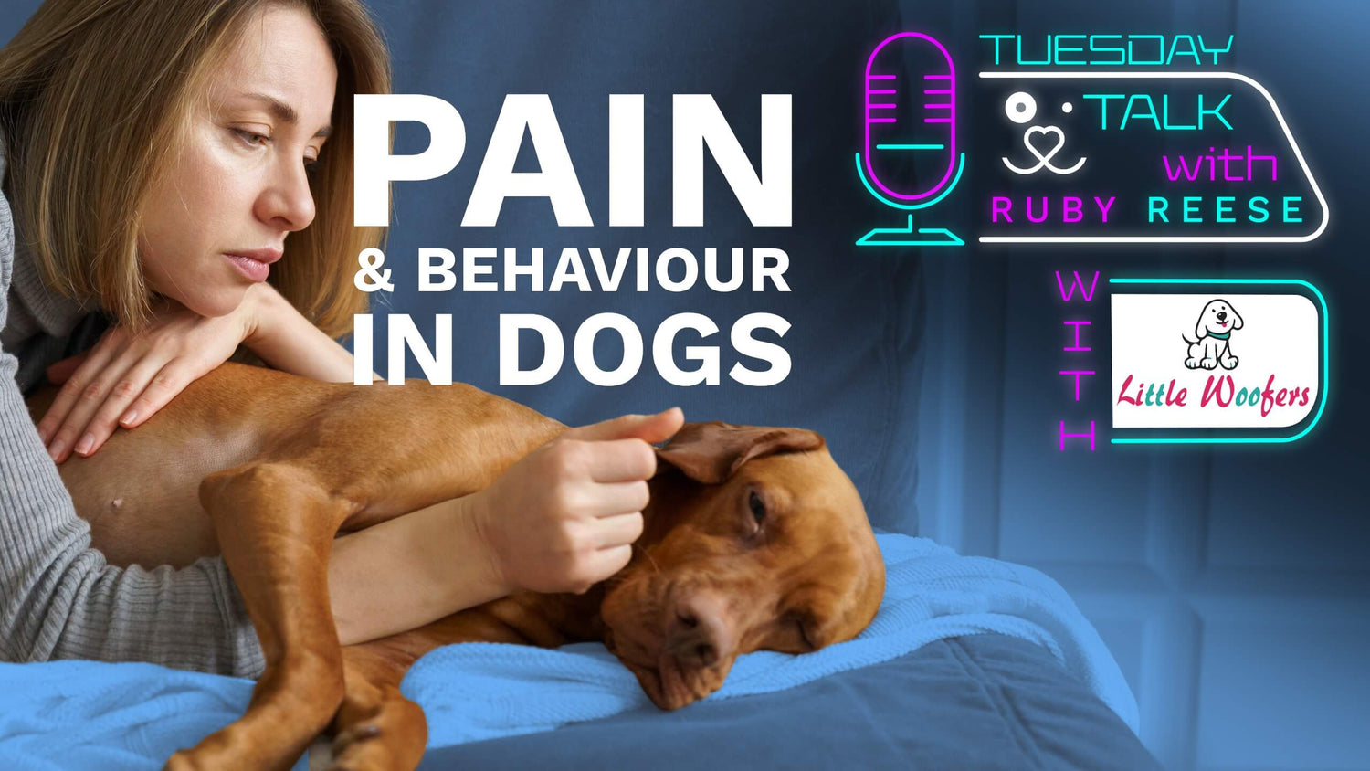 Pain and Behaviour in Dogs