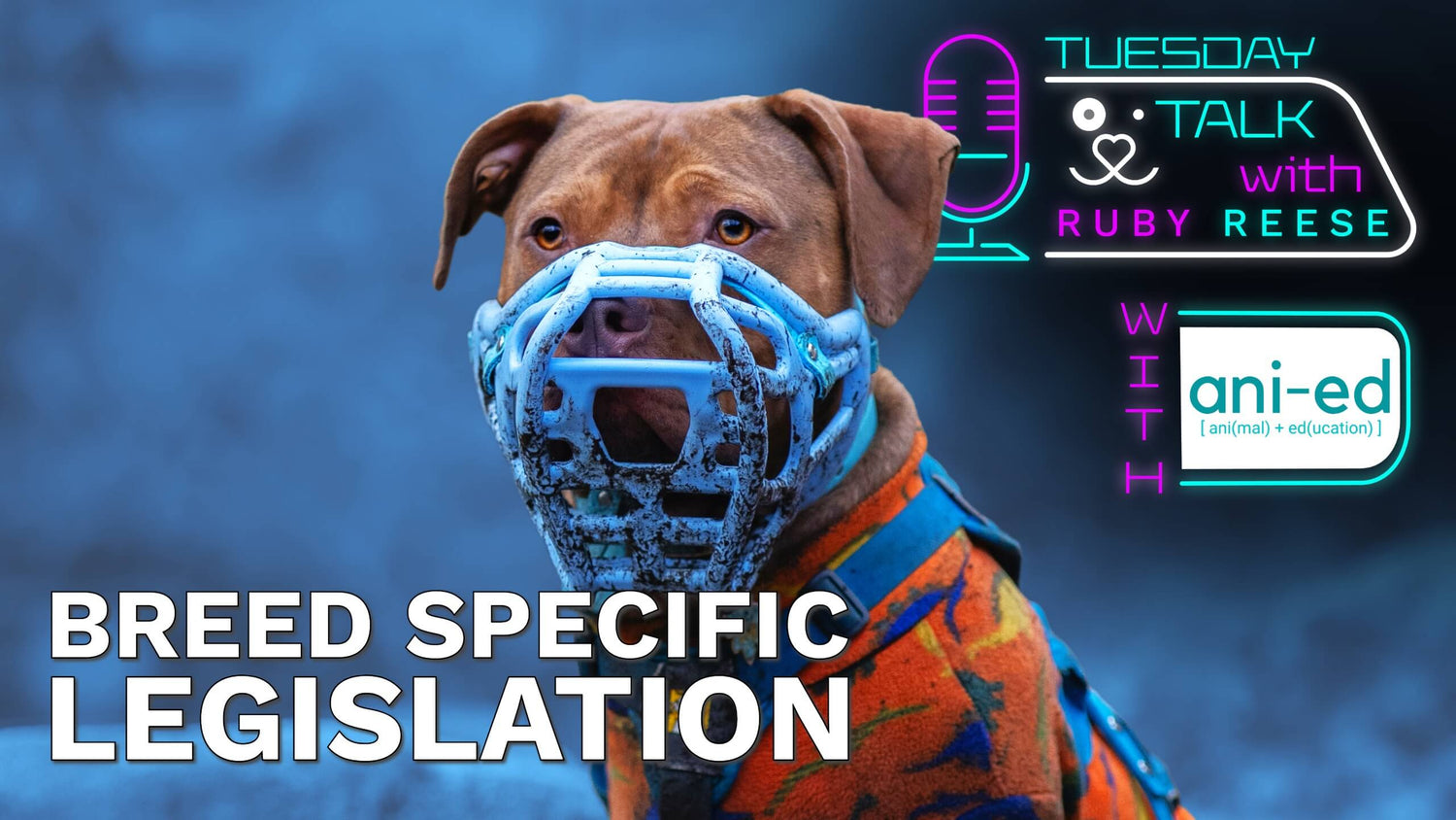 Breed Specific Legislation