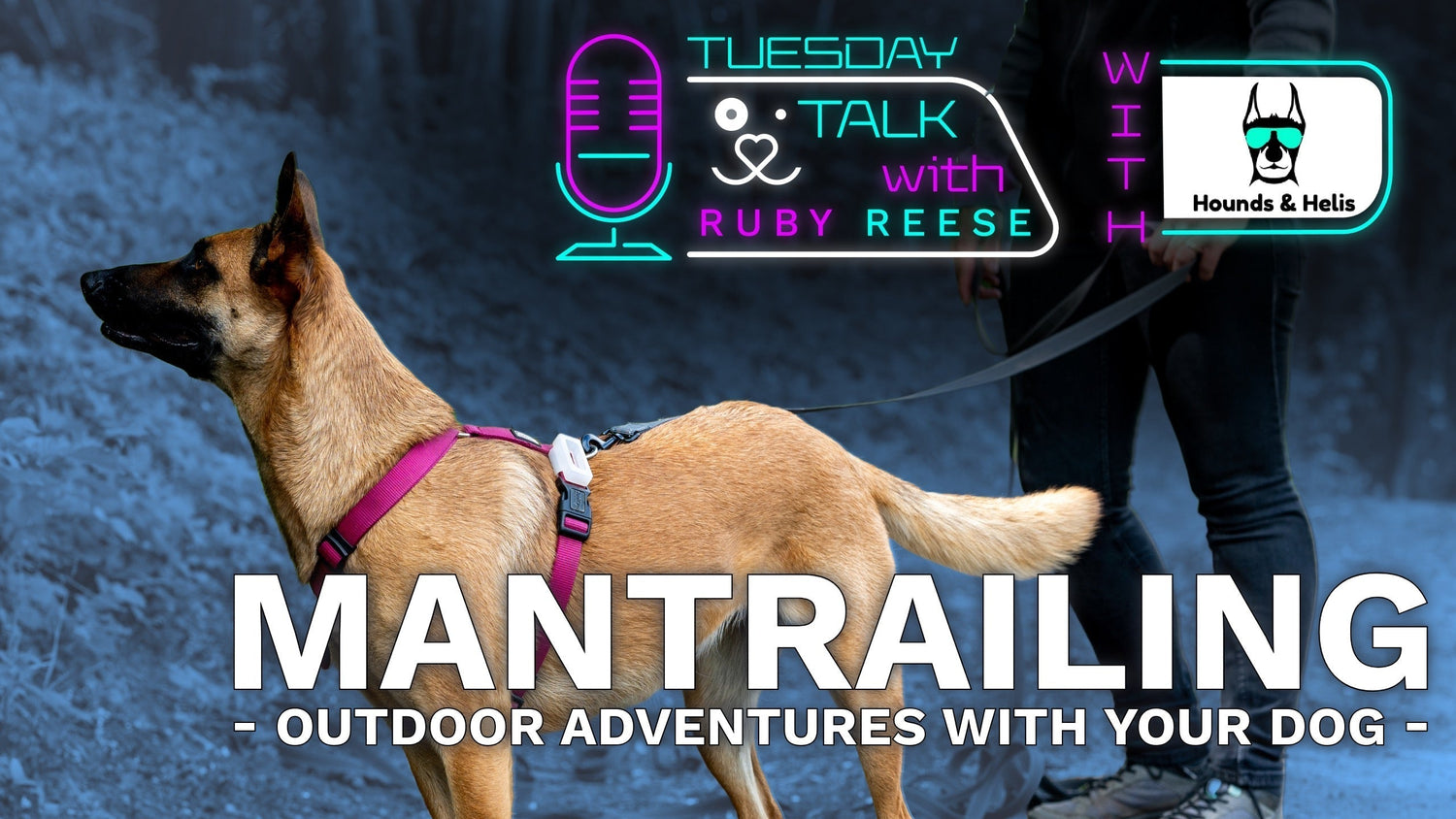 Mantrailing: Trailblazing the Path Towards Outdoor Adventures with Your Dog