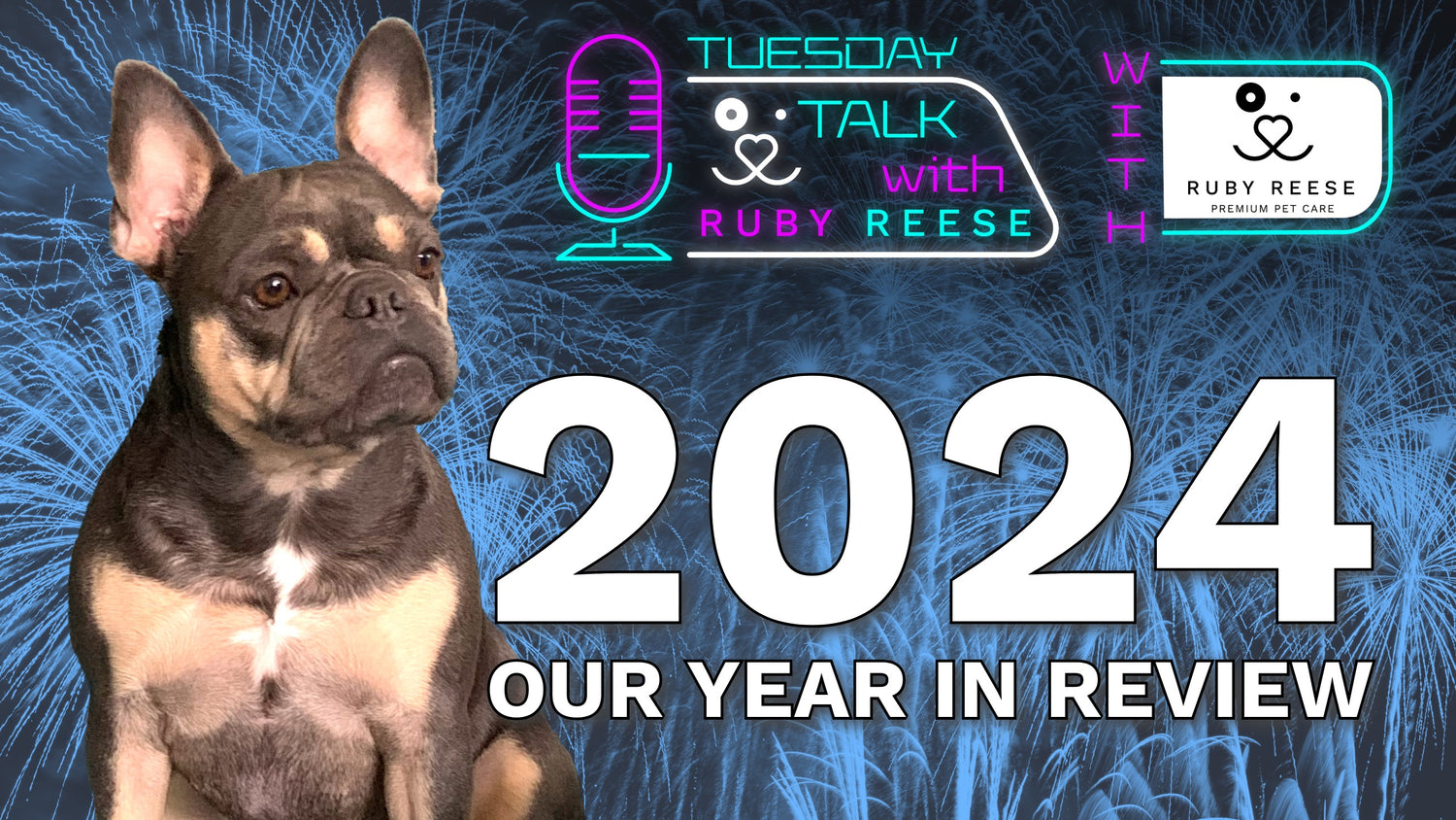 2024 - Our Year in Review