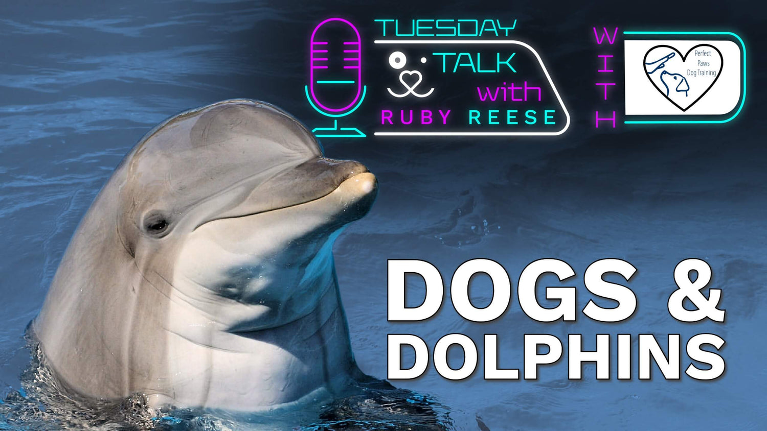 Dogs and Dolphins