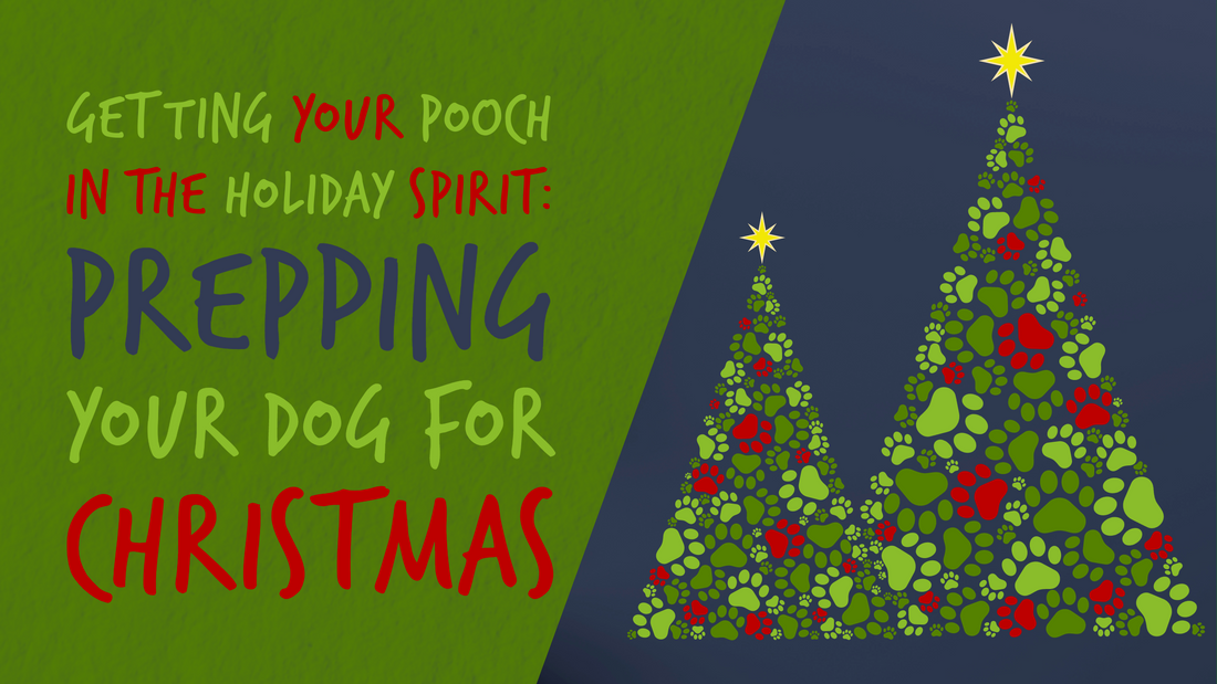 Getting Your Pooch in the Holiday Spirit: Prepping Your Dog for Christmas
