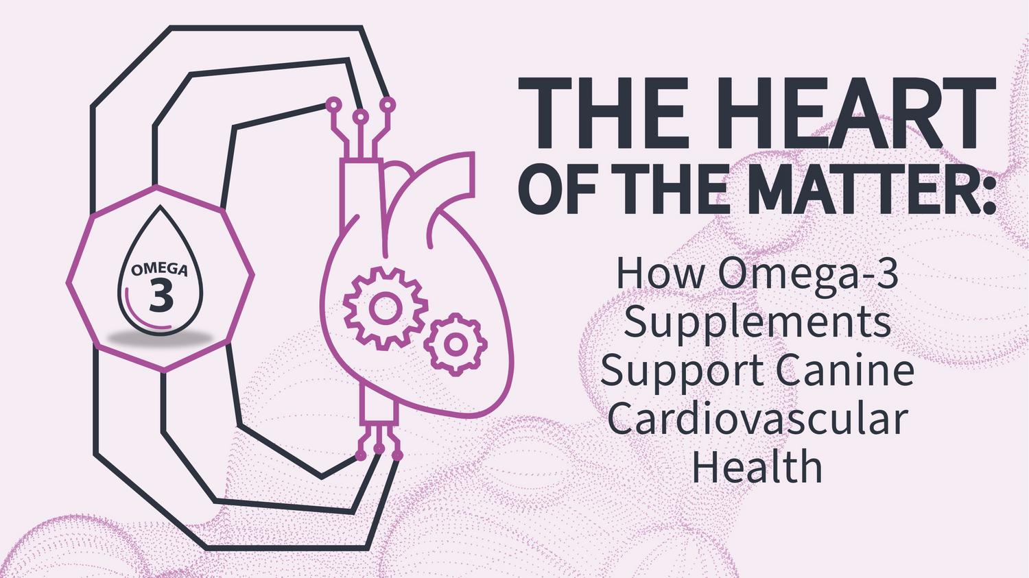 Icon of a anatomic heart connected to an omega 3 oil droplet and the text “The Heart of the Matter”