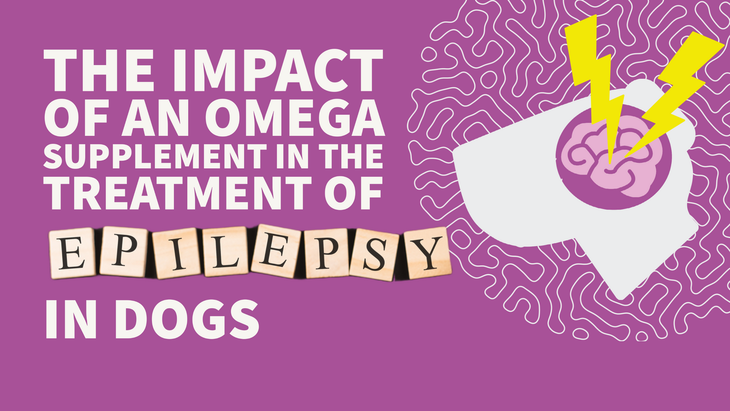 Graphic of dogs head with brain and a thunder bolt and a box with text “Impact of Omega Oil in Treatment  Epilepsy in Dogs”