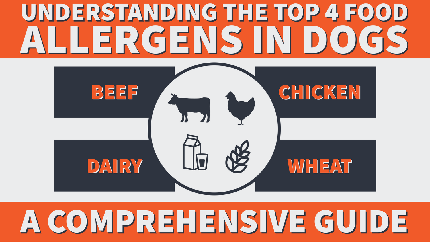 Text “Understanding the top 4 food allergens in dogs” with icons for beef, chicken, dairy and wheat under it