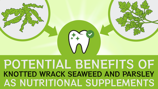 Exploring Potential Benefits of Knotted Wrack Seaweed and Parsley as Nutritional Supplements in your Dog’s Diet  