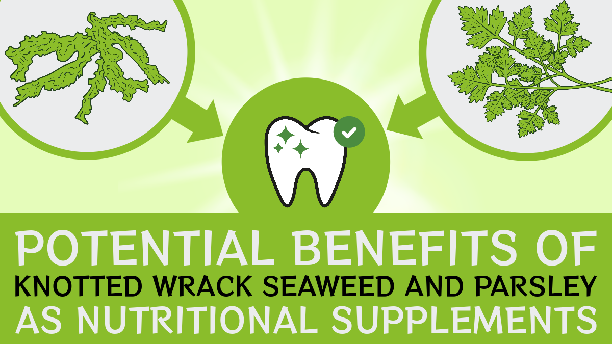 A tooth icon surrounded by seaweed and parsley and a text “Benefits of Seaweed and Parsley as Nutritional Supplements” 