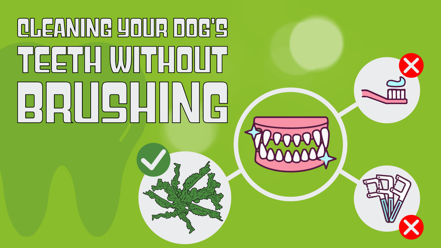 A graphic of shiny dog teeth and seaweed and a box with text “Cleaning Your Dog's Teeth Without Brushing”