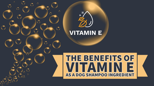 The Benefits of Vitamin E as a Dog Shampoo Ingredient