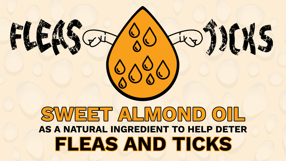 Sweet Almond Oil as a Natural Ingredient to Help Deter Fleas and Ticks