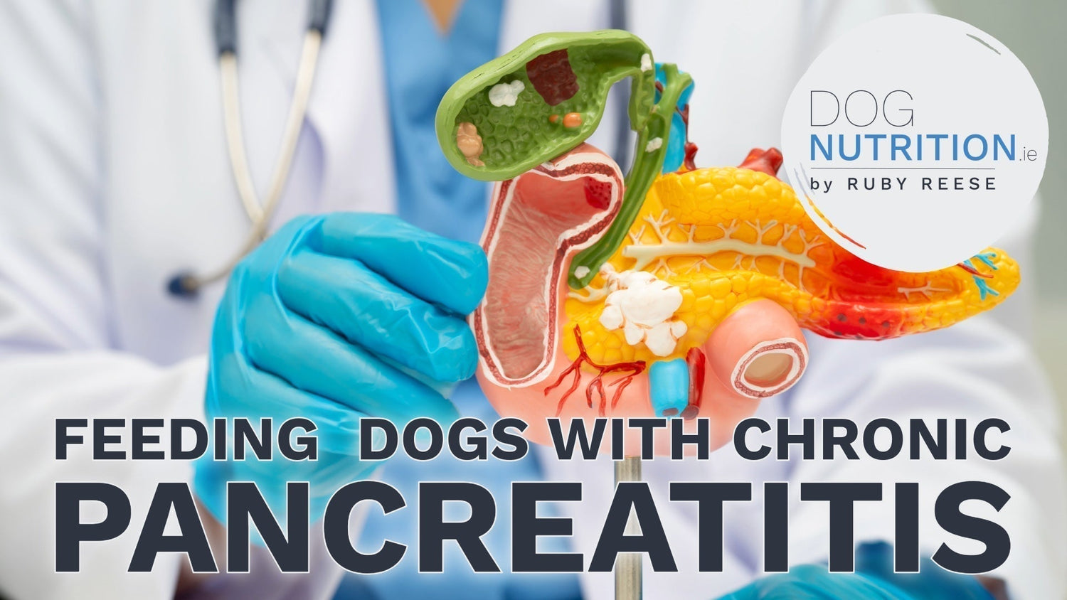 Feeding Dogs With Chronic Pancreatitis