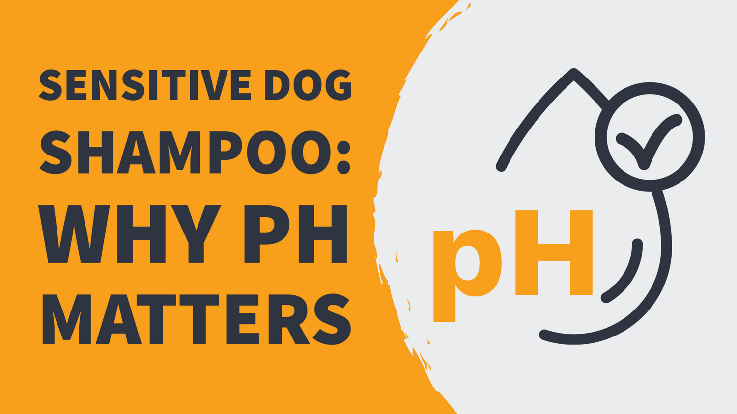 Graphic with text SENSITIVE DOG SHAMPOO: WHY PH MATTERS and an icon of a water droplet, the letters “pH” and a checkmark