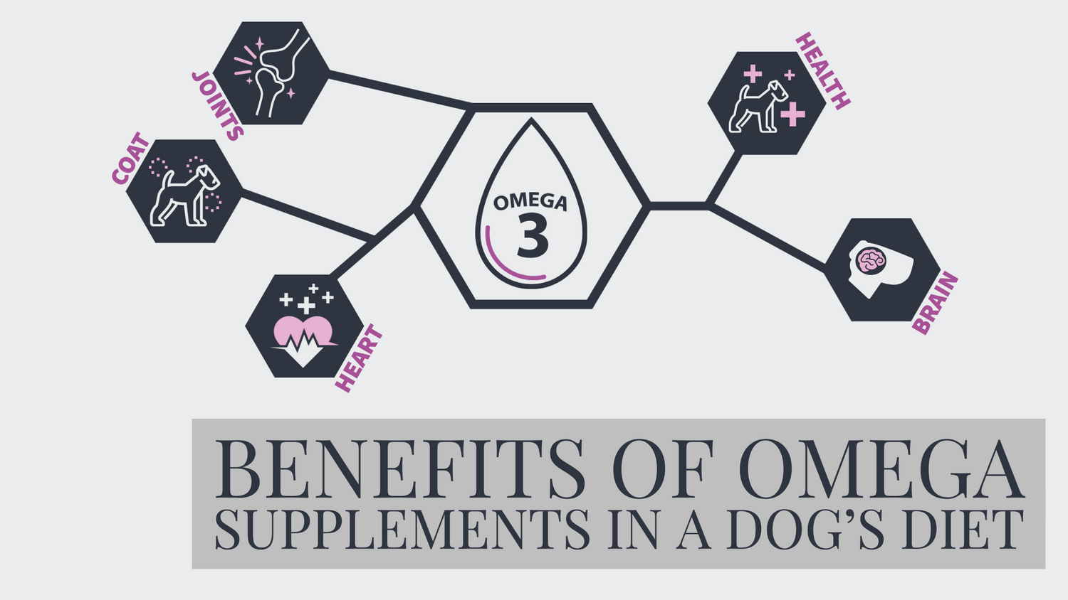 A molecule-shaped Icon with several other icon in it and a box with text “Benefits of Omega Supplement”
