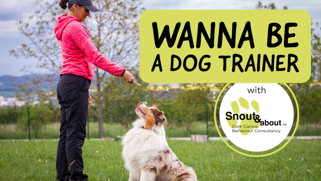 Wanna be a dog trainer?