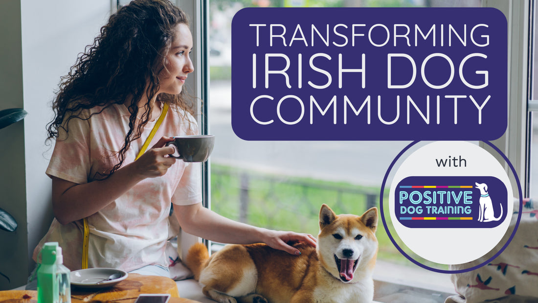 The Transforming Irish Dog Community