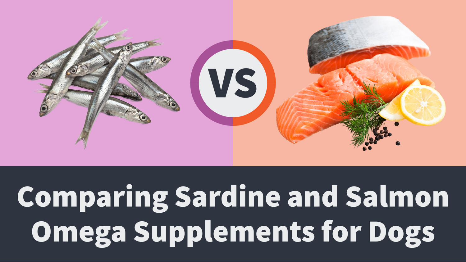 Images of sardines and salmon with letters VS in between and a box with text “Comparing Sardine and Salmon Omega Supplements”