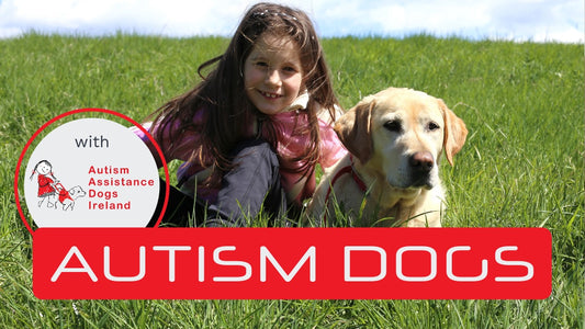 Autism Assistance Dogs