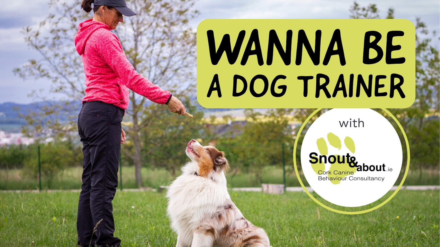 A dog sitting in front of a female dog trainer holding a treat and a box with text “Wanna be a dog trainer”