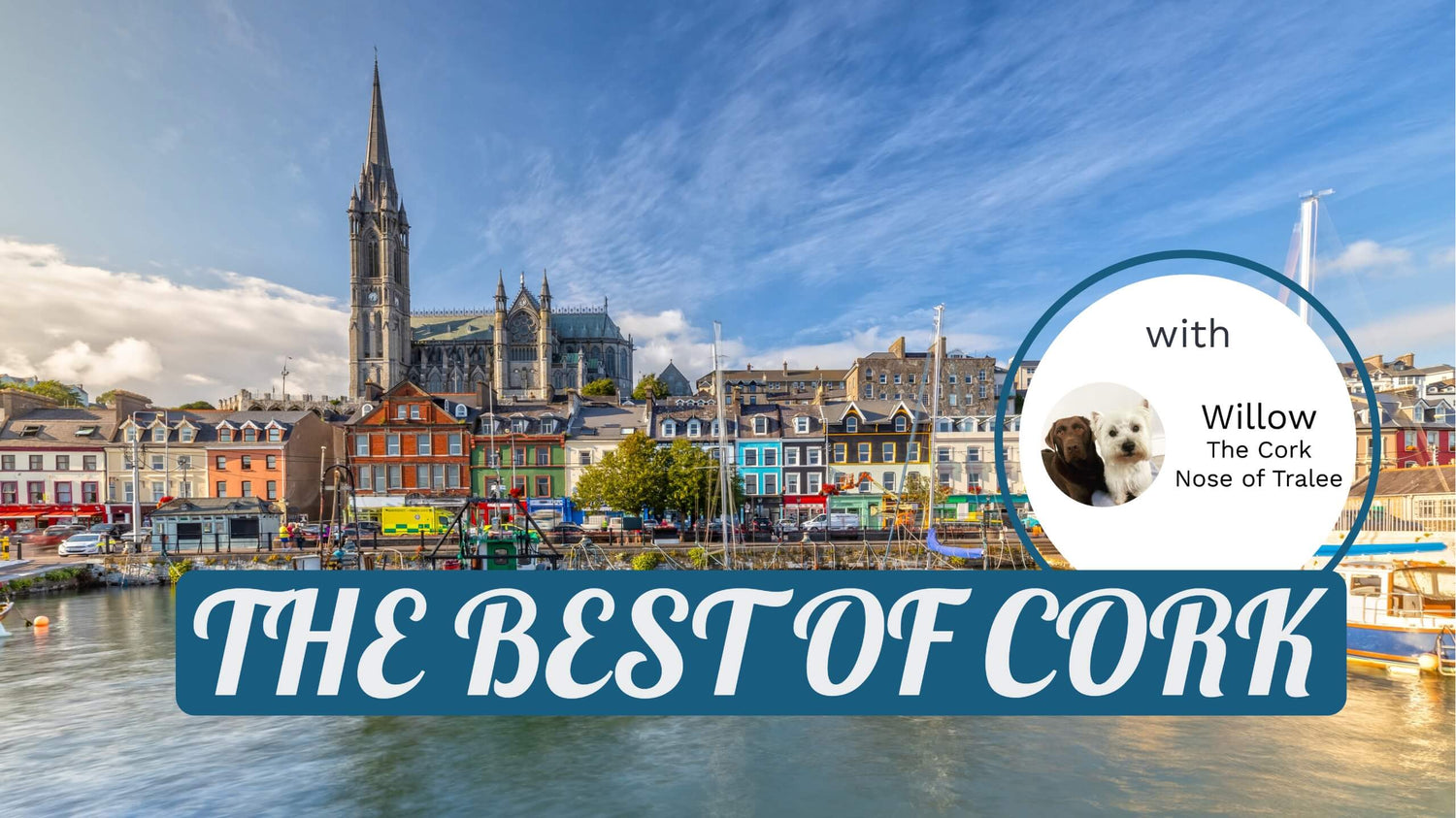 An image of Cobh from the water with the colourful house and the cathedral and a box with text “The Best of Cork”