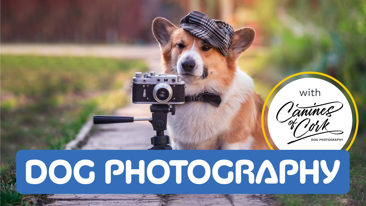 A dog with a hat sitting behind a old camera on a tripod and a box with text “Dog Photography”