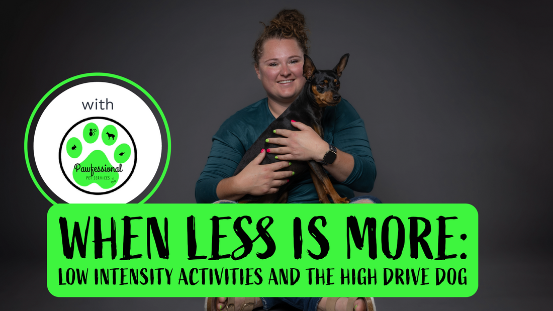 When less is more - low intensity activities and the high drive dog