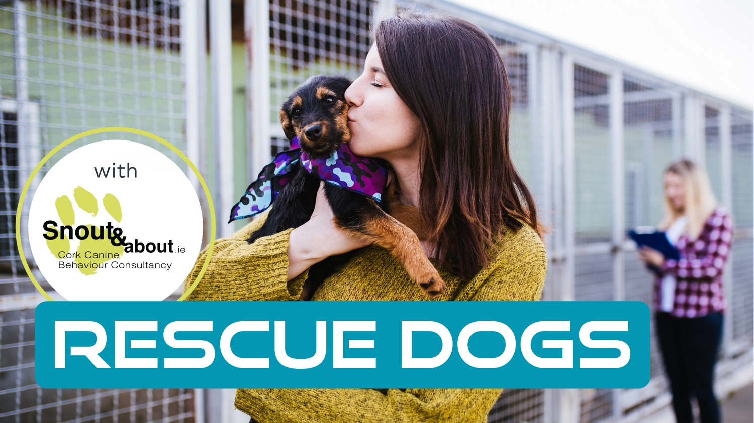A woman holding and kissing a puppy in front of dog kennels and a box with text “Rescue Dogs”