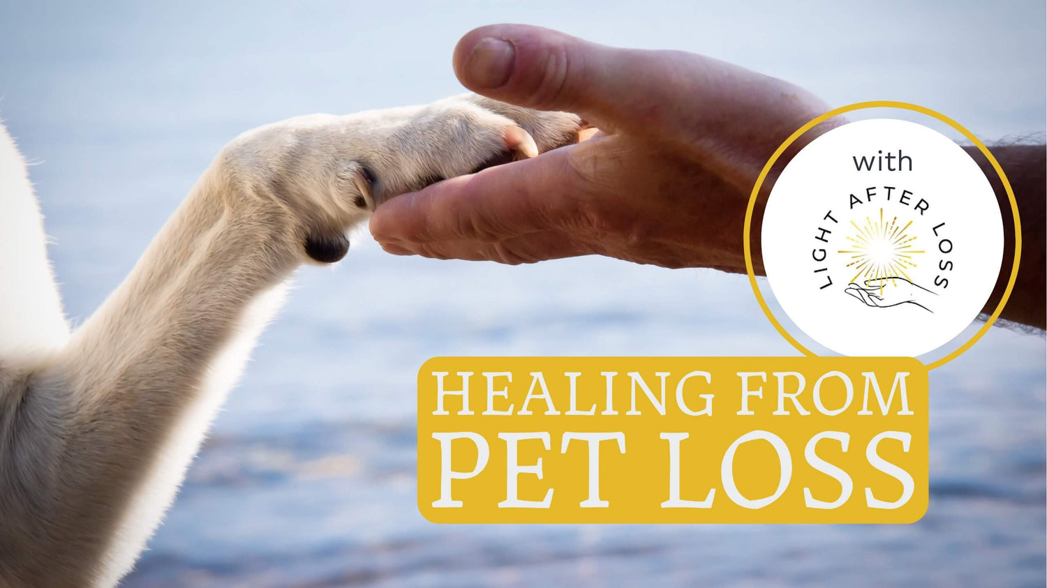A human hand holding a dogs paw and a box with text “Healing from Pet Loss”