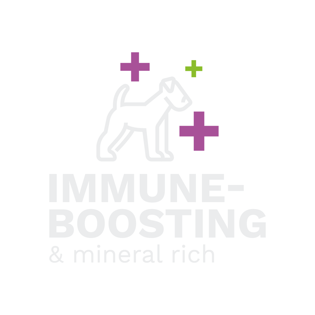 Icon of a dog surrounded by plus signs and the text “IMMUNE-BOOSTING & mineral rich”