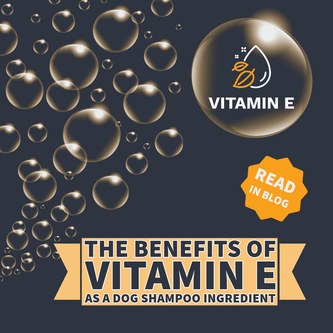 Shampoo bubbles against a dark background and the text THE BENEFITS OF VITAMIN E AS A DOG SHAMPOO INGREDIENT