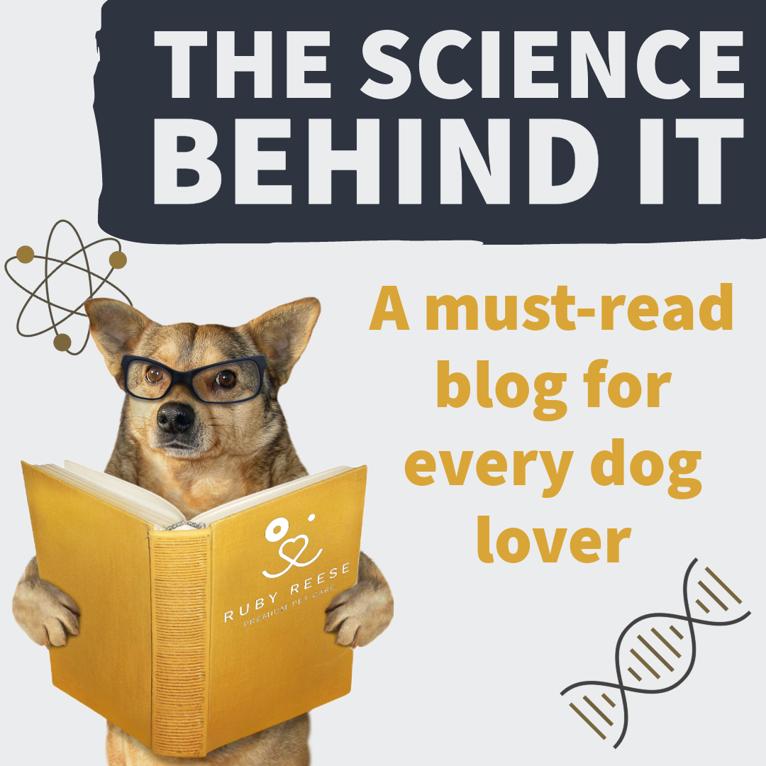Image of dog holding a book. Text THE SCIENCE BEHIND IT in a box above and text A MUST-READ BLOG FOR EVERY DOG LOVER below it