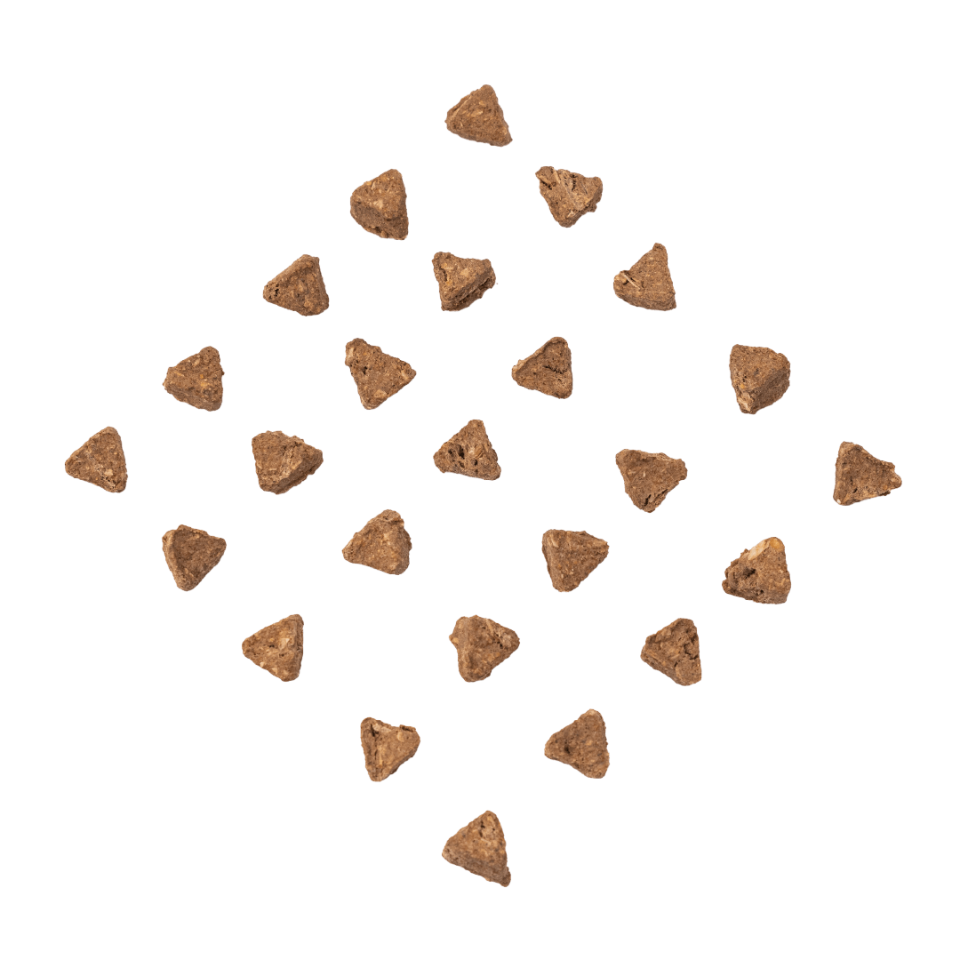 Triangular-shaped RUBY REESE DELICIOUS SALMON natural dog treats arranged in a diamond-shape on a flat surface