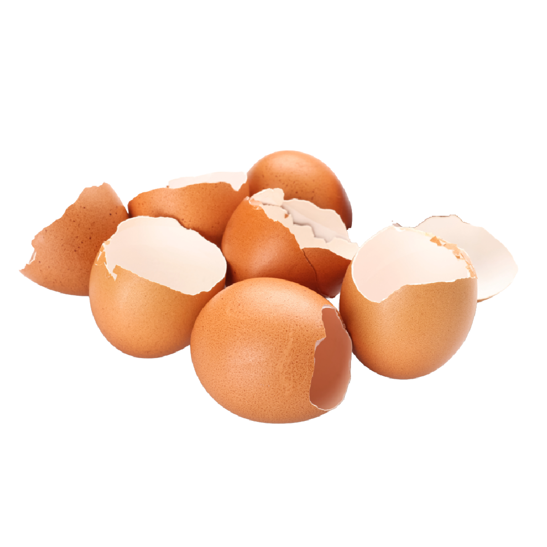 A group of brown eggshells with varying degrees of breakage.