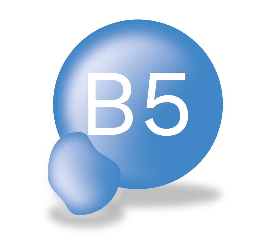 A blue sphere with a smaller, connected blue shape. On the larger sphere, there is text that reads “B5