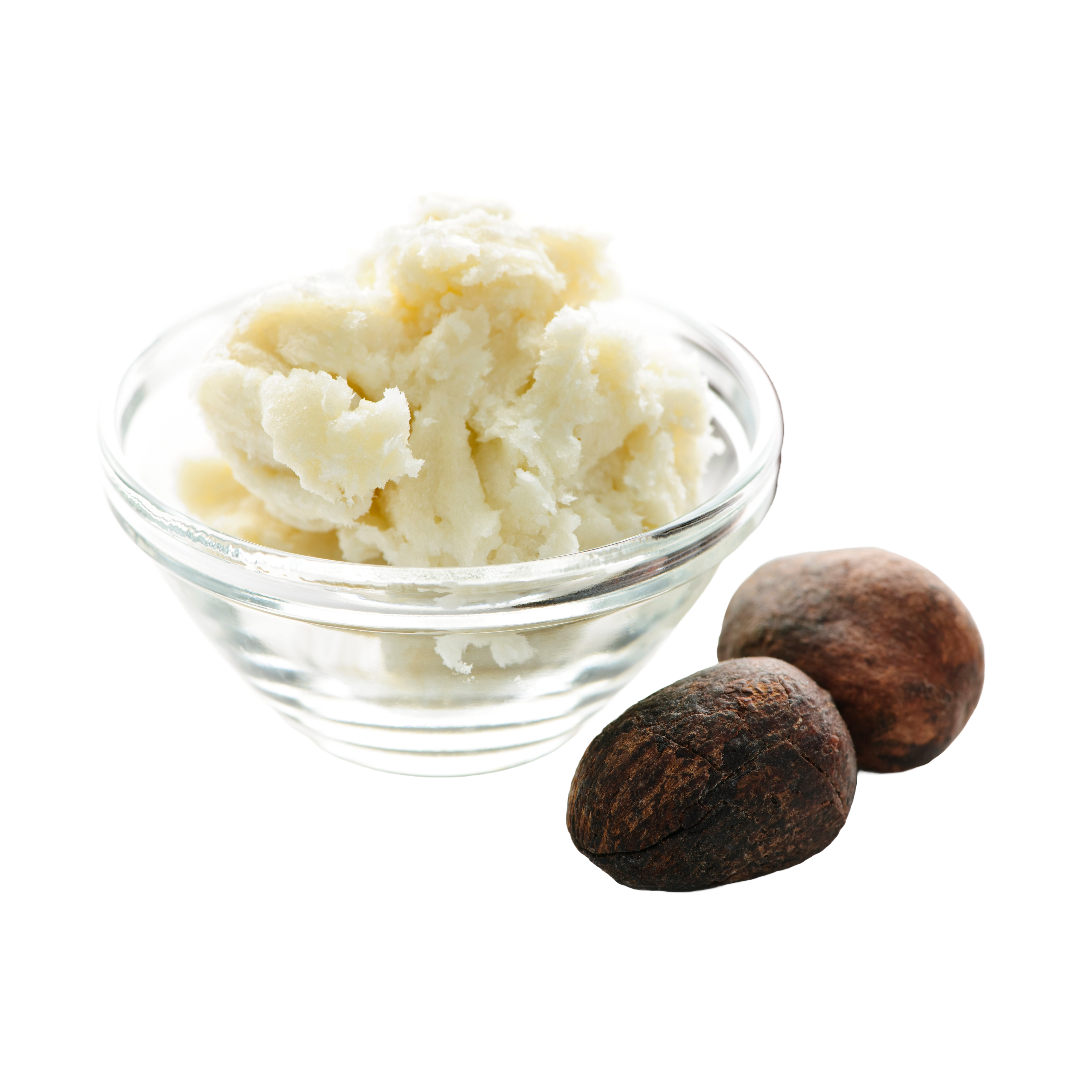 A small glass bowl filled with shea butter. Next to the bowl on the right side are two shea nuts.