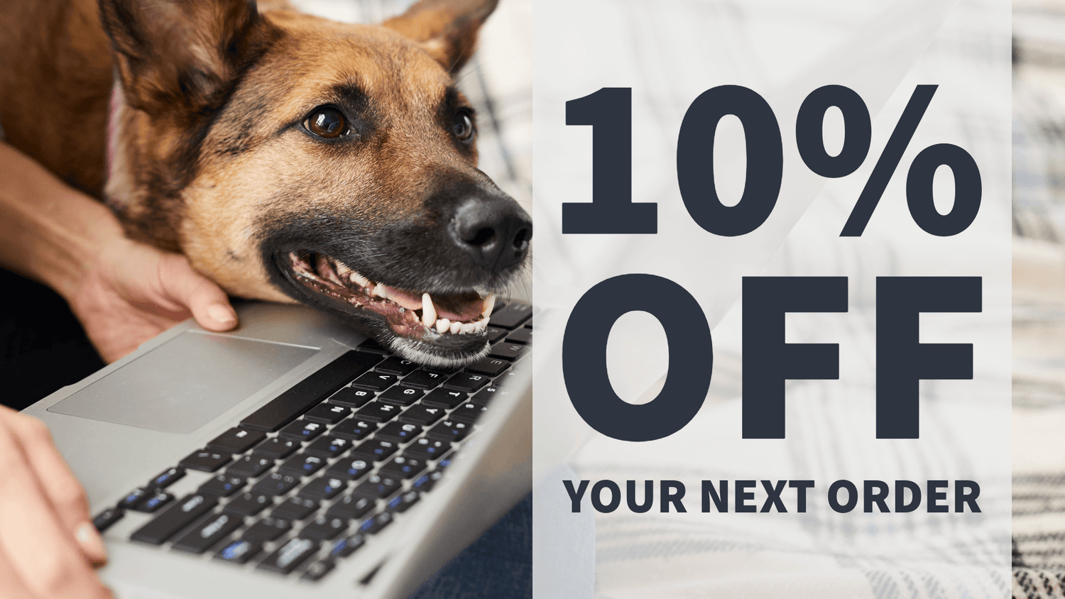 Image of a dog resting his head on a laptop keyboard looking on the screen, next to it the text “10% OFF YOUR NEXT ORDER”
