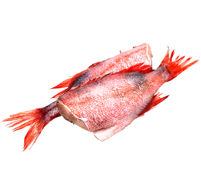 Two filets of fish with the skin on the skins colour are shades of red pink and white.